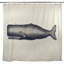 Shower Curtain