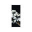 White Flowers III Print-26948732-26948735