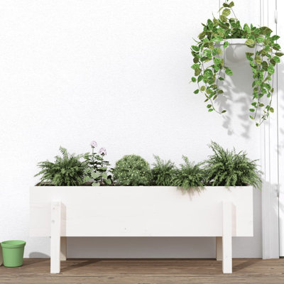 Meenakshi Wood Raised Garden Bed