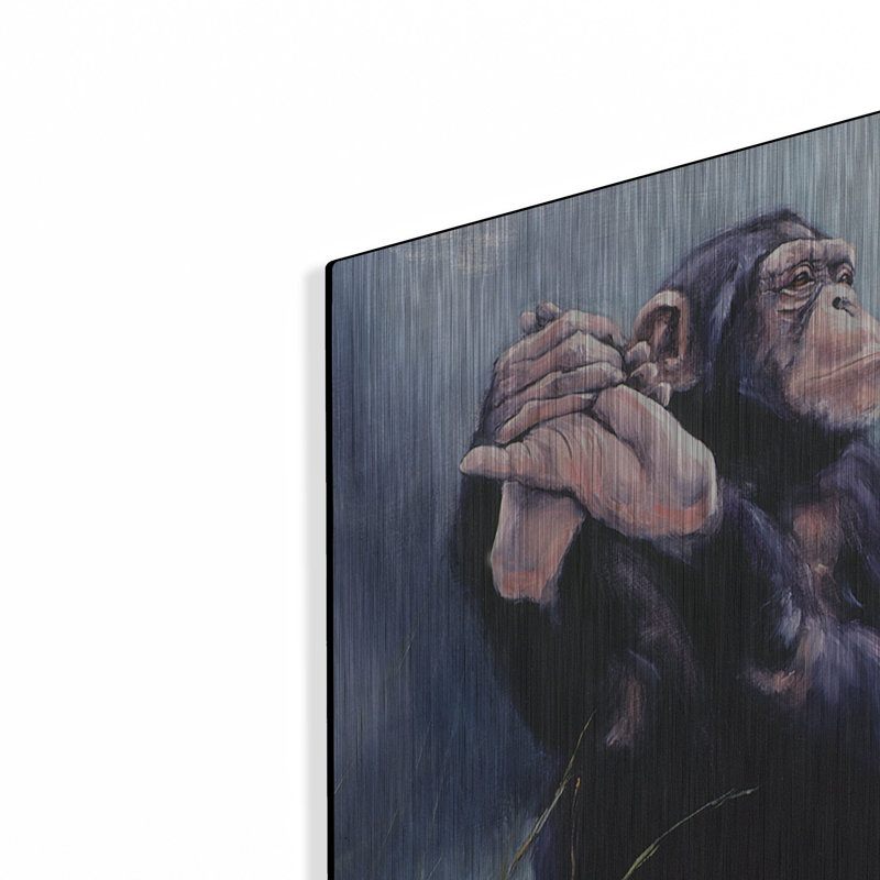 «C'est la Vie Chimp» par Robert Campbell, art mural en métal, H 12 po x l 16 po