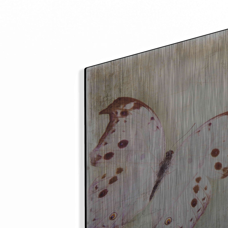«Floating Butterfly II» par Debra Van Swearingen, H 12 po x l 12 po