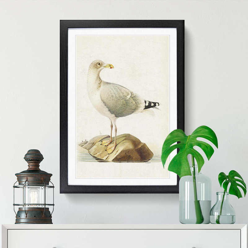 European Herring Gull by Von Wright - Picture Frame Painting Print, 36cm H x 27cm W x 2cm D, Black Framed