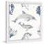 Dolphin Friends - Single Picture Frame Print-254567389