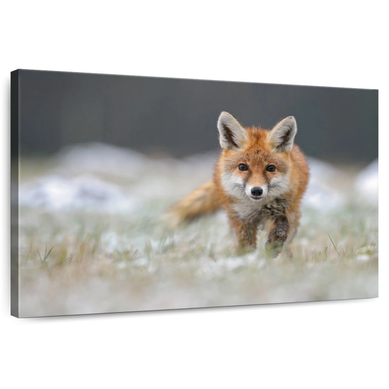 Brampt Baby Red Fox, 8" H x 12" W