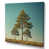 Wrapped Canvas