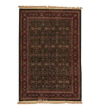 Wool Oriental Area Rug