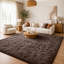 Venuti Solid Colour Shag Area Rug-722962329