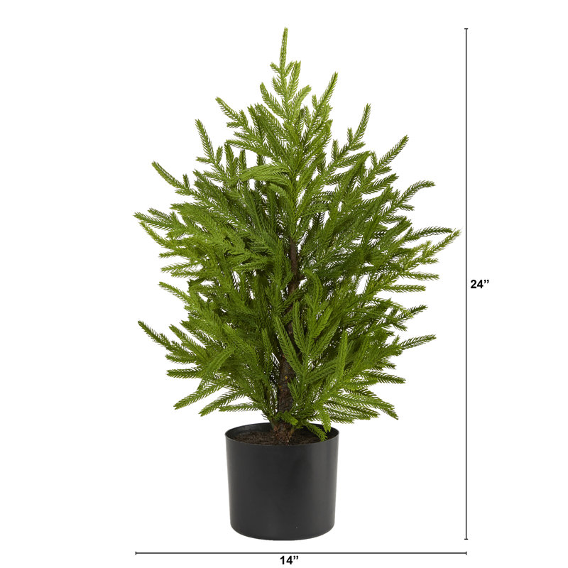 Artificial Christmas Tree, 2' H