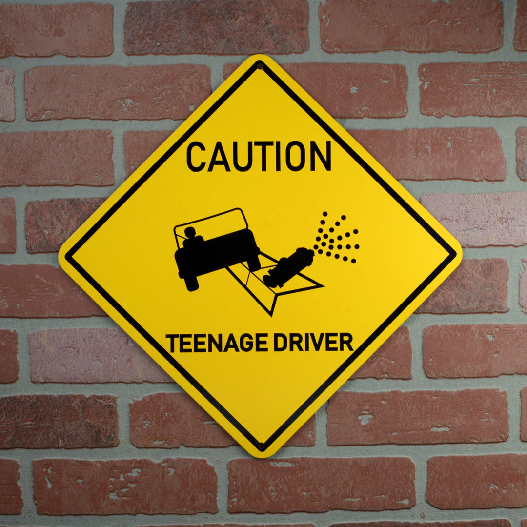 Funny Caution Teenage Driver Metal Sign Car Prank Novelty Bedroom Door Wall Decor Treasure Gurus