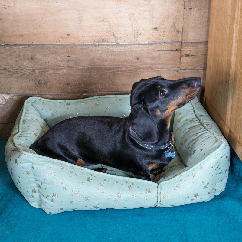 Norwood Polyester Pet Bed, 60cm H x 22cm W x 70cm D