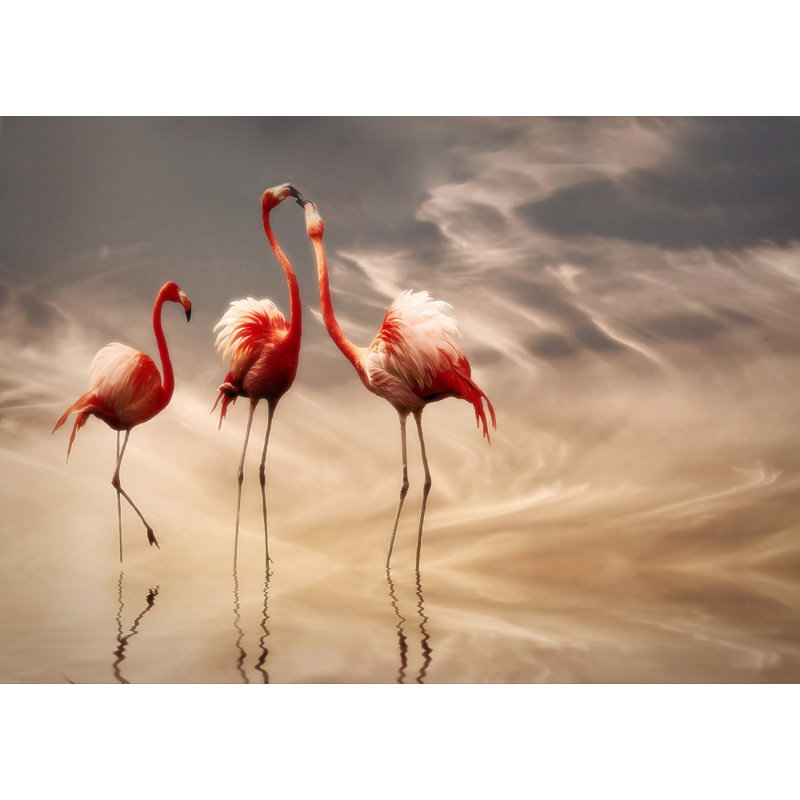 Wrapped Canvas Print, 76.2 cm H x 50.8 cm W