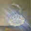 Customer photo 4 of 4