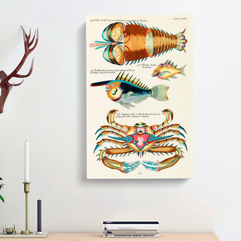 East Indies Lobster, Fish & Crab XLVII by Louis Renard - Wrapped Canvas, 50cm H x 35cm W x 3cm D