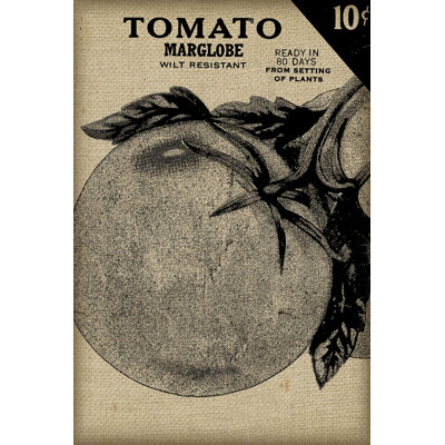 «Vintage Seed Pack V» par Vision Studio - impression sur toile tendue