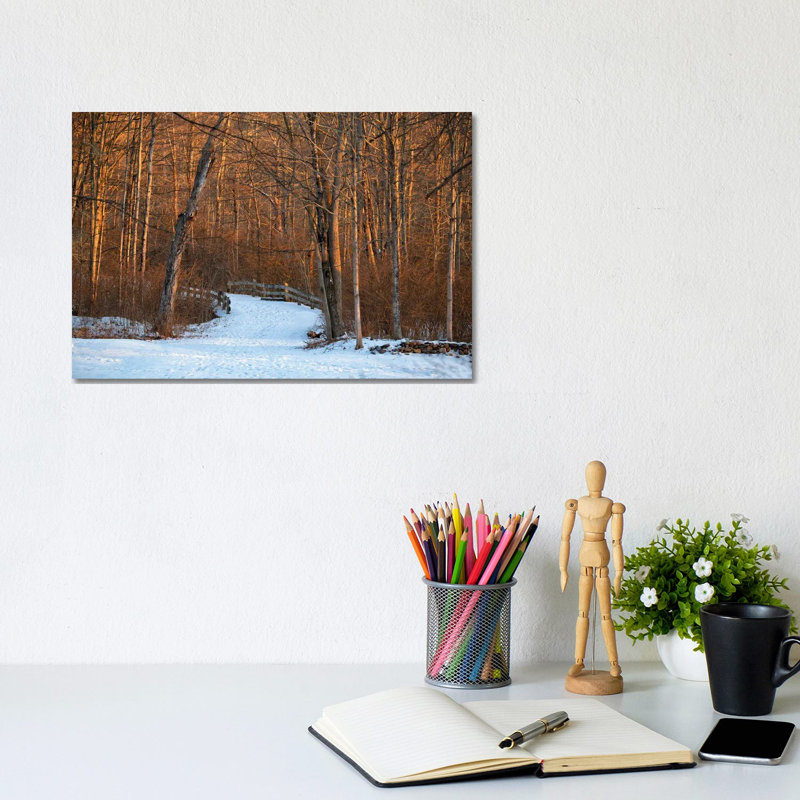 Long Pond Path by David Gardiner - Print on Canvas, 8"H x 12"W