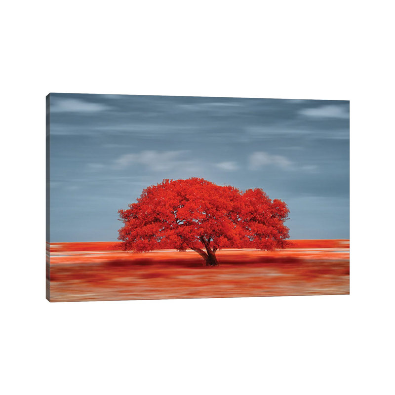 Lonely Red Tree On The Field by Glauco Meneghelli - Wrapped Canvas Print, 66.04 cm H x 45.72 cm W x 1.91 cm D