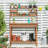 Kubilay Fir Potting Bench with Display Rack