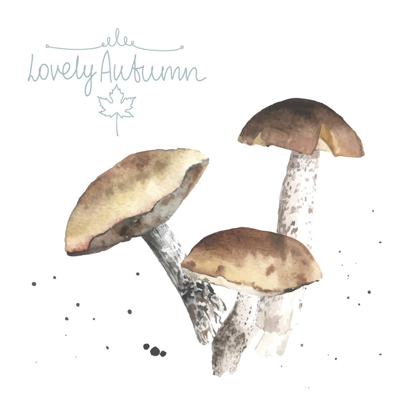 «Lovely Autumn Mushroom» par Olga_Bonitas - peinture sur toile tendue, H 30 po x l 30 po