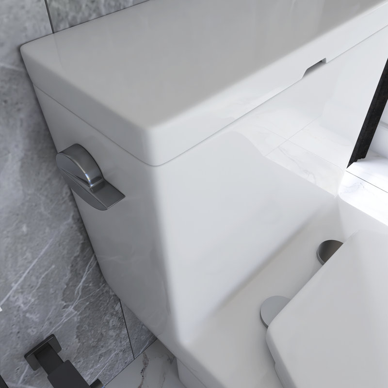 12 Inch One Piece 1.28 GPF Single Flush Elongated Toilet In White Seat Included