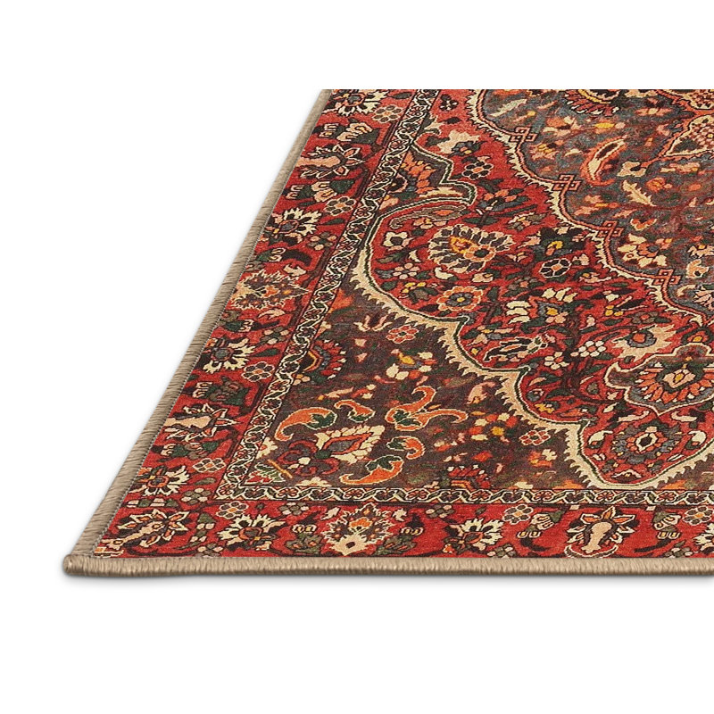 Cody-Jack Oriental Indoor Rug, Rectangle 2' x 4'