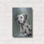 «Puppy Eyes Dalmatian» par John Silver