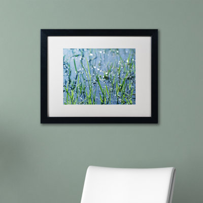 «After the rain» par Beata Czyzowska Young - reproduction de photo sur toile encadrée