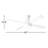 Ball 42'' Ceiling Fan with LED Lights-61906413-61906414-61906415