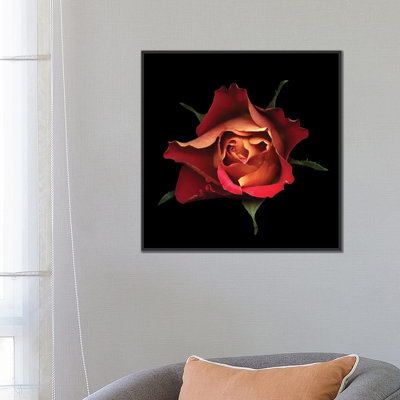 " The Kiss Of A Rose " by Magda Indigo