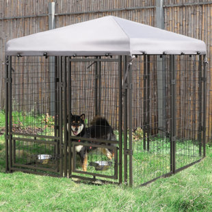 https://assets.wfcdn.com/im/15574225/resize-h310-w310%5Ecompr-r85/2372/237267322/outdoor-dog-kennel-with-rotating-feeding-door-dog-enclosure.jpg