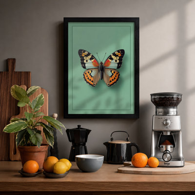 Specimen Butterfly Minimalist - Print