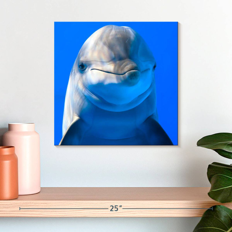 Brampt Sociable Dolphin, 16" H x 16" W