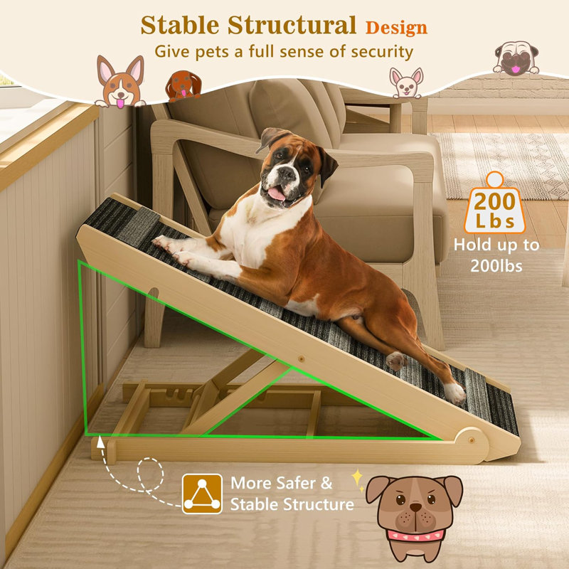 Rampe réglable pour animaux en bois avec surface antidérapante