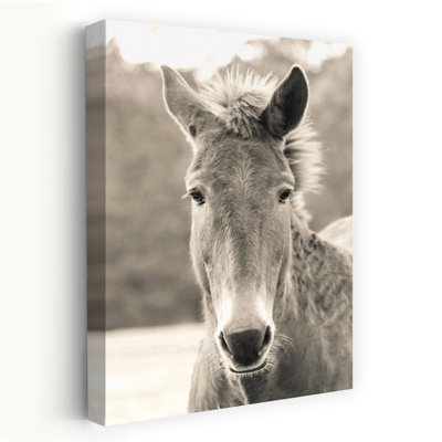 Art contemporain à cheval