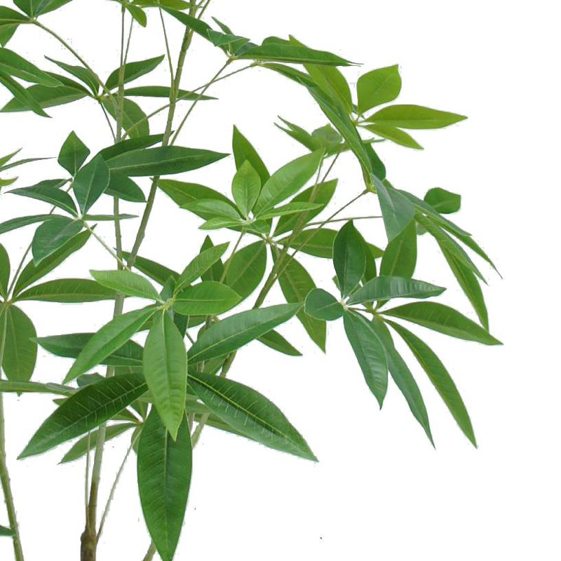 Annistyn 120cm Faux Money Tree in Pot