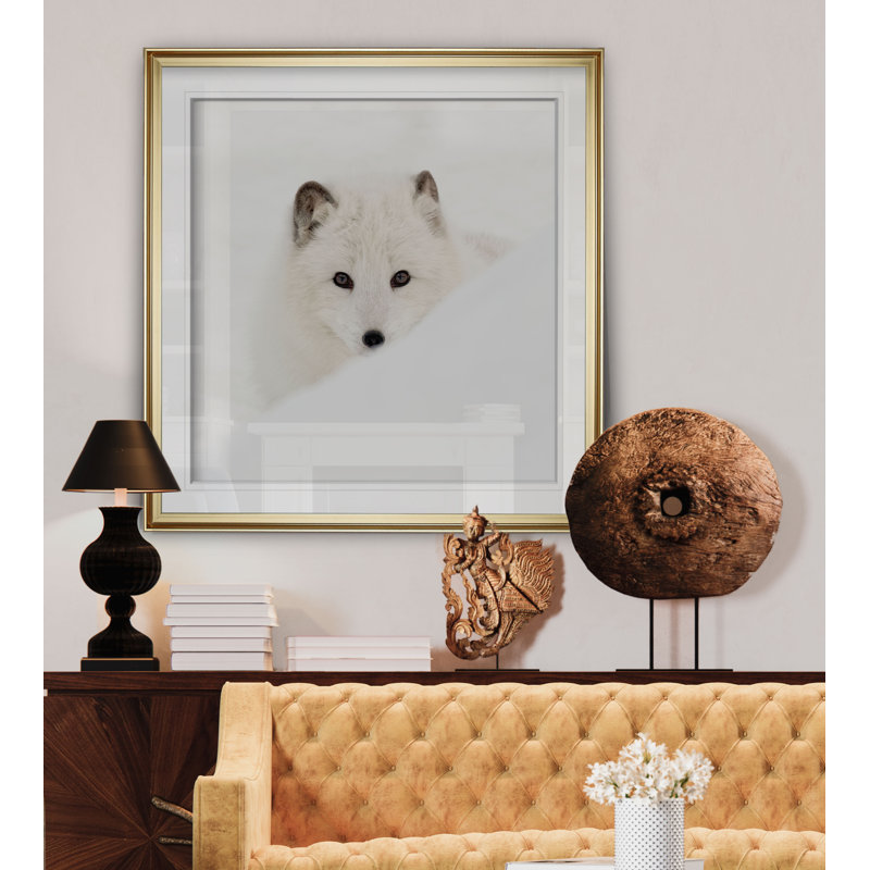 «Arctic Fox», reproduction de photo, H 27 po x l 27 po x p 1,5 po, Cadre doré