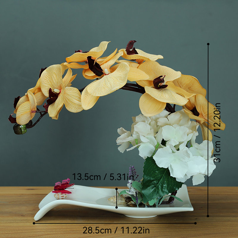 Orchidée papillon
