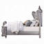Lit Ariadne EK-1049113986