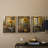 Floral Study  Series  CLXIX  -Set Of 3 Framed Giclee Prints -Ready to Hang-1526493587-1526493589