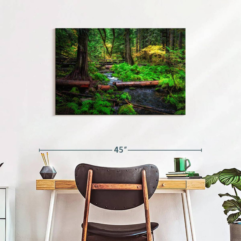 Ruisseau Alvord Willamette National Forest, H 24 po x l 36 po