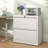 2 Drawer Lateral File Cabinet with Lock - Secure, Spacious Steel Filing Cabinet for Home Office, Letter/Legal/F4/A4 Files-103532501