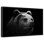 Ours noir et blanc, reproduction sur toile