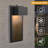 Desara LED Wall Light