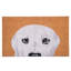 Tapis de porte antidérapant 36 po x 24 po