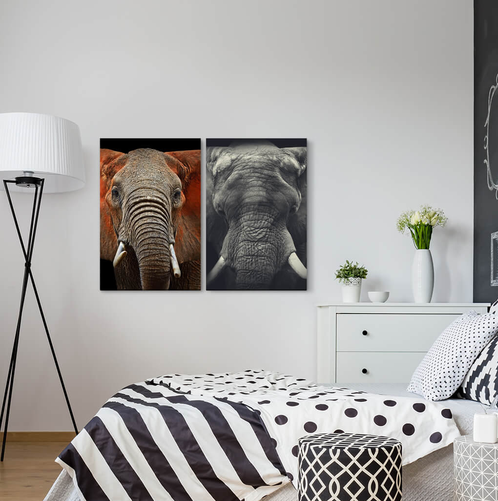 2-tlg. Leinwandbilder-Set - Fotografie „Elephant Head Africa Wilderness Tusks Trunk”