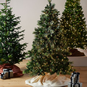 Christmas Trees