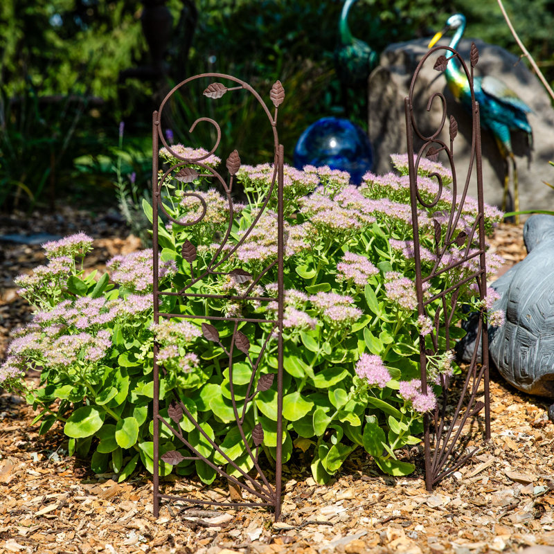 Treillis de jardin rustique en acier brun pour plantes grimpantes
