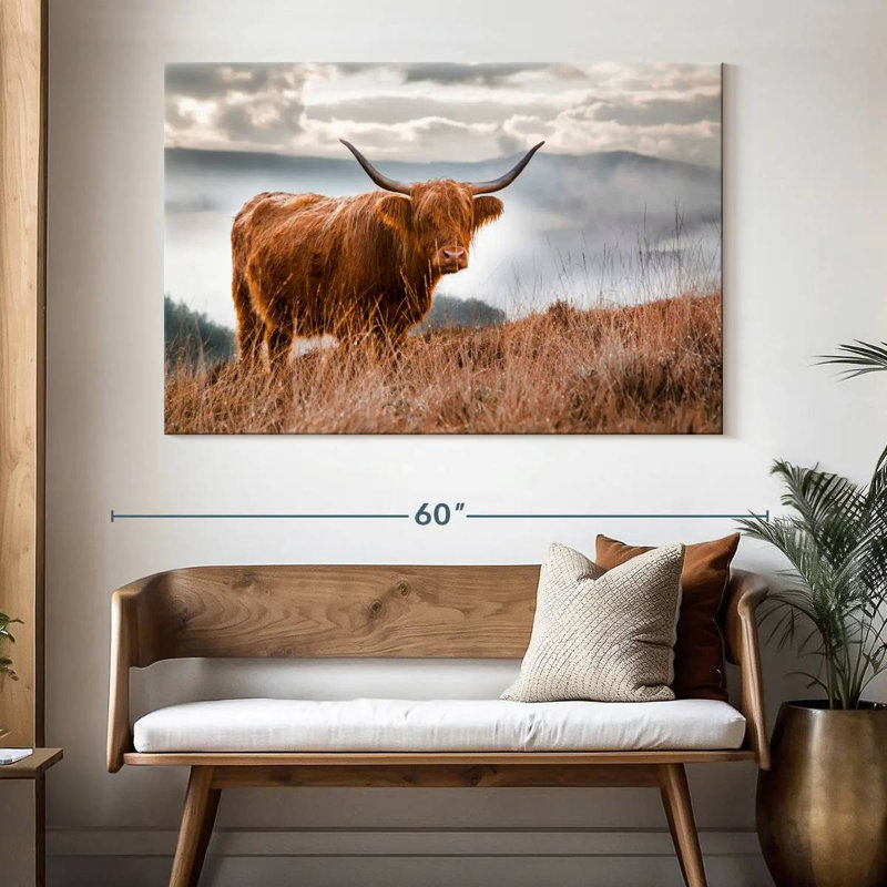 Highland Cow In Scotland, 34" H x 51" W