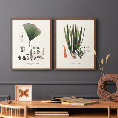 Fougères Botanical Society - reproduction encadrée de qualité supérieure - prête à être accrochée - aucun clou requis - aucun clou requis