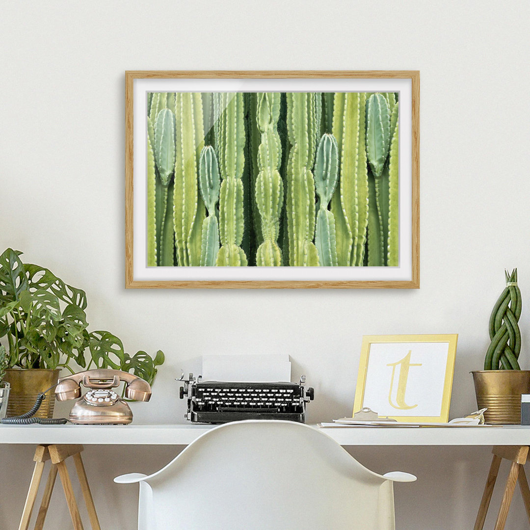 Gerahmtes Poster Cactus Wall