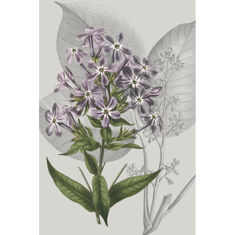 «Botanical Arrangement VI» par Vision Studio - peinture sur toile tendue, H 48 po x l 32 po